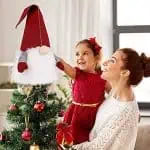 nisser-tomte