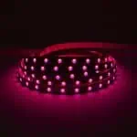 striscia-led-24v-72w-rgb-5mt-300-smd-5050-da-interno-ip20-2