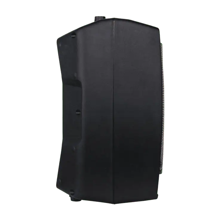 Cassa acustica professionale PROEL V8PLUS diffusore attivo a 2 vie Bi amplificato 2