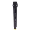 Sistema Radiomicrofono EIKON WM101DMV2 con 2 Microfoni Palmare - immagine 4