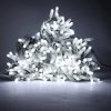 Tenda Luminosa allungabile di Natale a 256 LED con Luci fisse e intermittenti per uso Interno/Esterno Luce Bianca