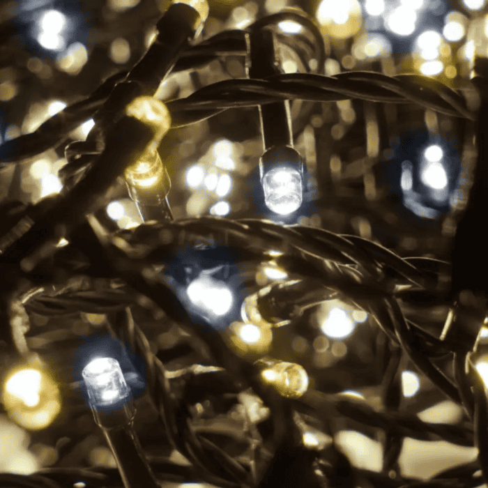 Catena Luminosa Di Natale A 500 LED 8 Giochi Di Luce Per Decorazioni Interno E Esterno Luce Calda E Fredda 2