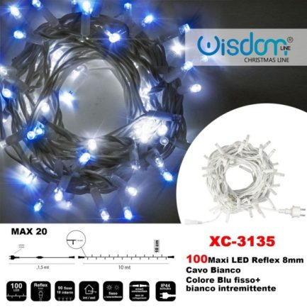 Catena Luminosa di Natale a 100 LED con Luci fisse e intermittenti per Interno / Esterno Luce Bianca e Blu - immagine 3