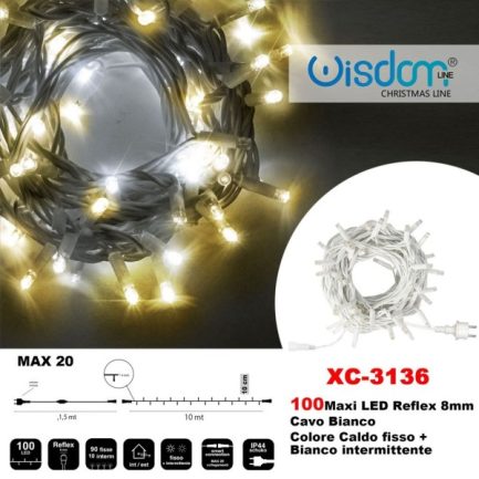 Catena Luminosa CIELO STELLATO di Natale a 100 LED con Luci fisse e intermittenti per uso Interno/Esterno (Luce Bianca e Calda) - immagine 5