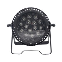 4 Par LED RGBW 15x40W Waterproof Con ZOOM Elettronico Top di gamma Wisdom Line Pro con FlightCase