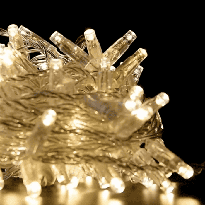 Catena Luminosa di Natale a 100 LED con Luci fisse e intermittenti per uso Interno Esterno Luce Bianca e Calda 1