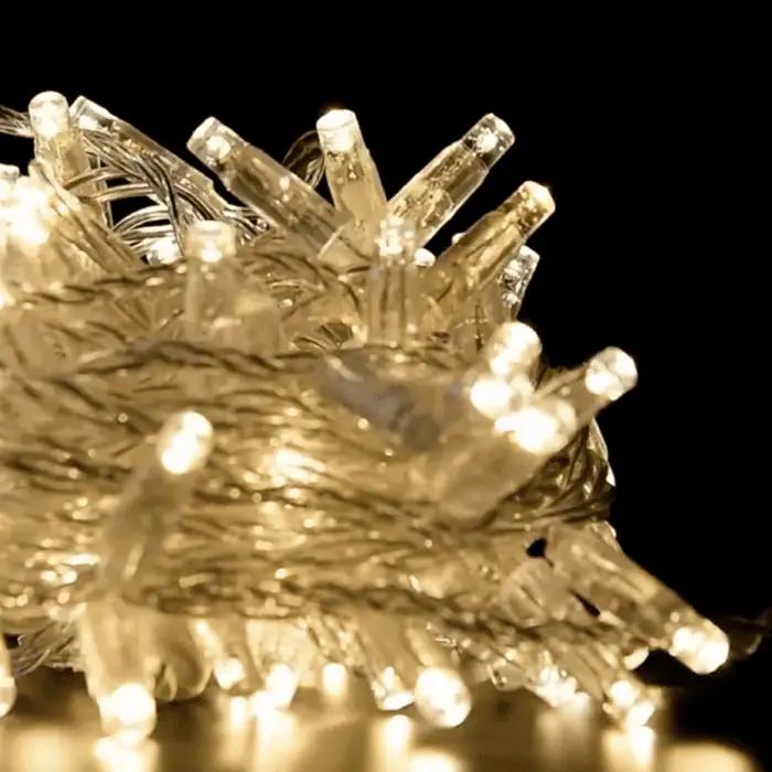 Catena Luminosa di Natale a 100 LED con Luci fisse e intermittenti per uso Interno Esterno Luce Bianca e Calda 1