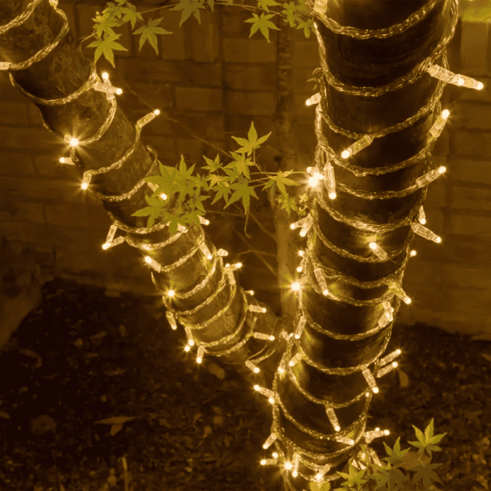 Catena Luminosa di Natale a 100 LED con Luci fisse e intermittenti per uso Interno Esterno Luce Bianca e Calda 2