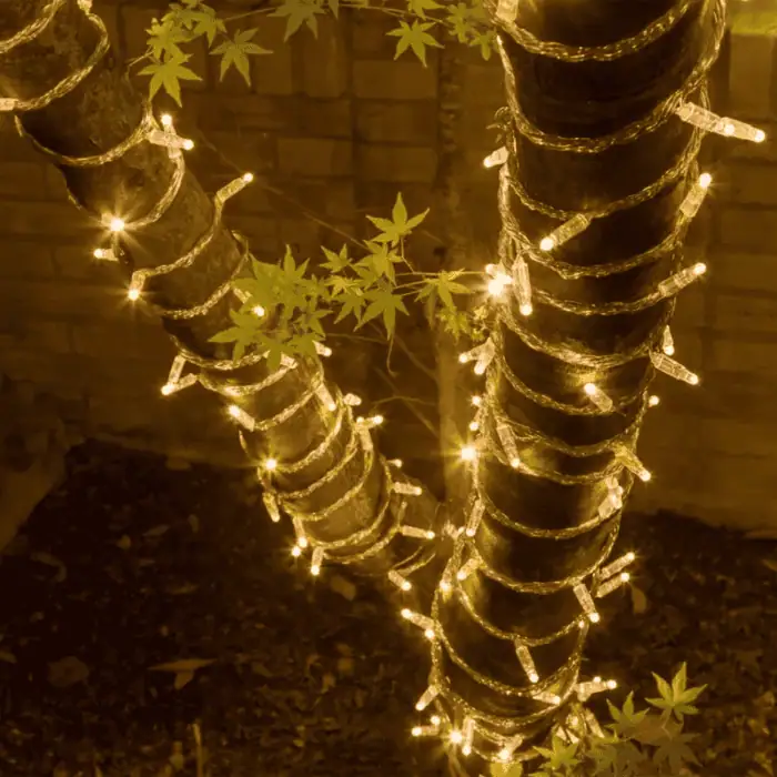 Catena Luminosa di Natale a 100 LED con Luci fisse e intermittenti per uso Interno Esterno Luce Bianca e Calda 2