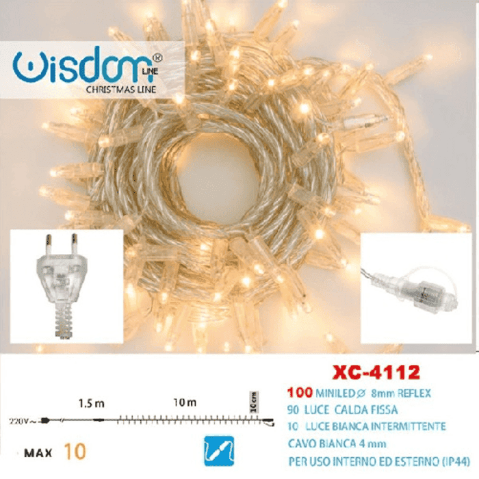 Catena Luminosa di Natale a 100 LED con Luci fisse e intermittenti per uso Interno Esterno Luce Bianca e Calda