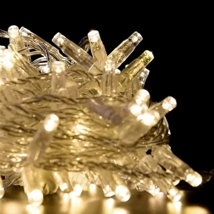 Catena Luminosa di Natale a 100 LED con Luci fisse e intermittenti per uso Interno/Esterno (Luce Bianca e Calda) - immagine 2