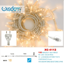 Catena Luminosa di Natale a 100 LED con Luci fisse e intermittenti per uso Interno/Esterno (Luce Bianca e Calda)