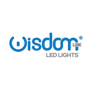 logo wisdom sito
