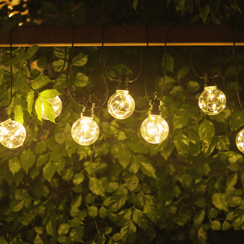 CATENA LUMINOSA XC-3769