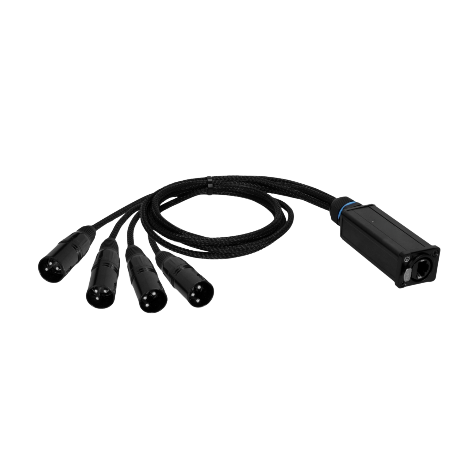 CATBOX 4 XLR Maschio a RJ45 EtherCON Cat.6a per Audio e DMX Professionale 1 spectra beam 32